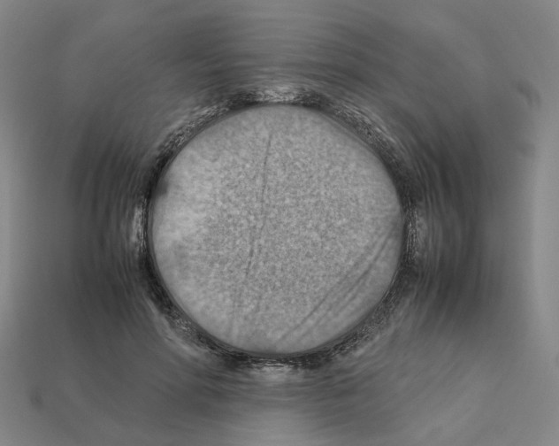 X0000111900598200909071137