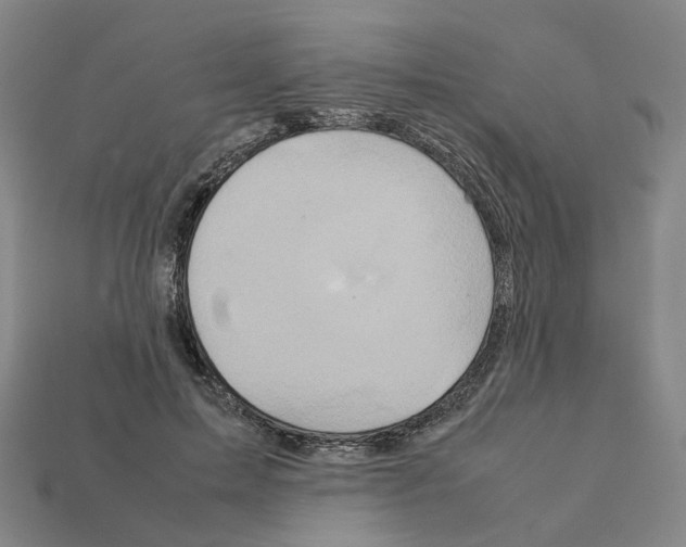 X0000111900599200909071137