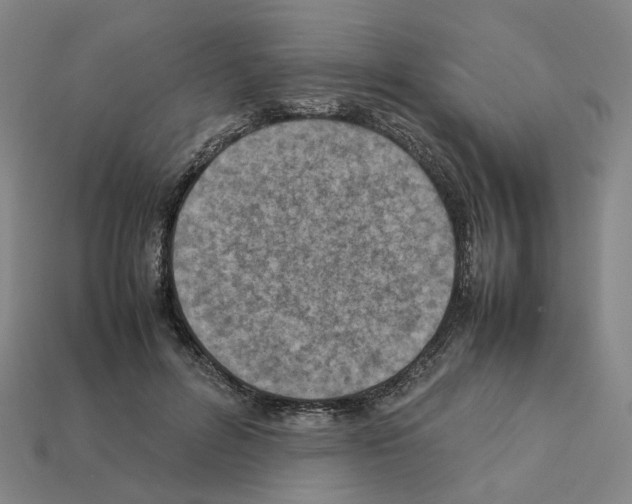 X0000111900600200909071137