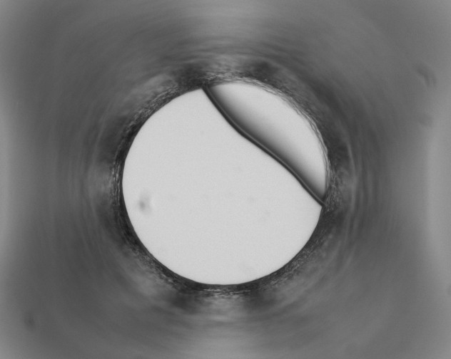 X0000111900601200909071137