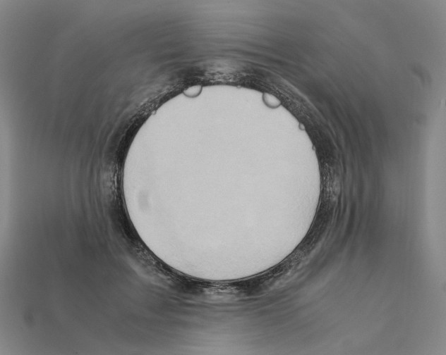 X0000111900603200909071137