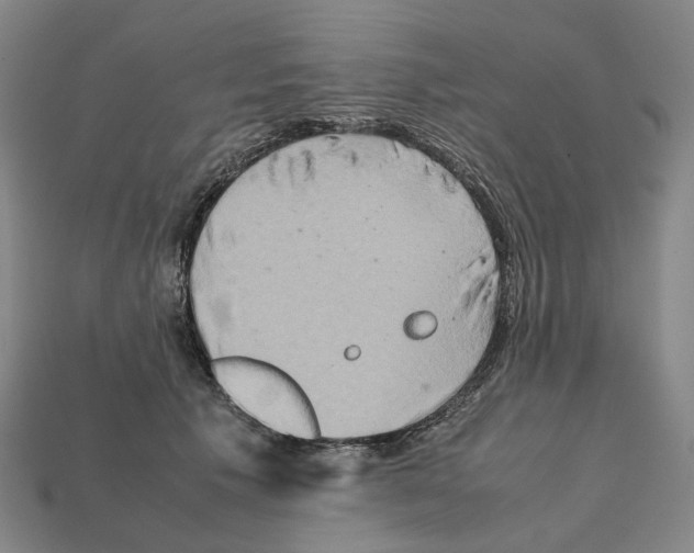 X0000111900609200909071137