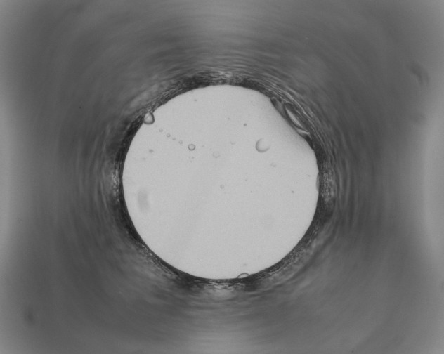 X0000111900613200909071137