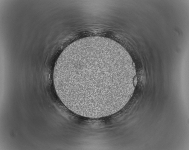 X0000111900615200909071137