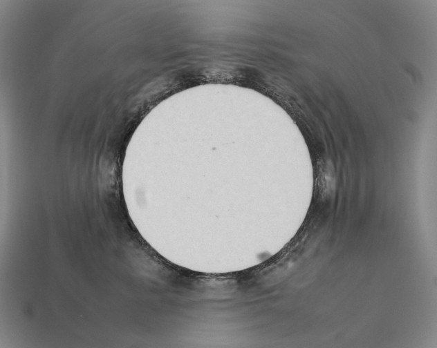 X0000111900619200909071137