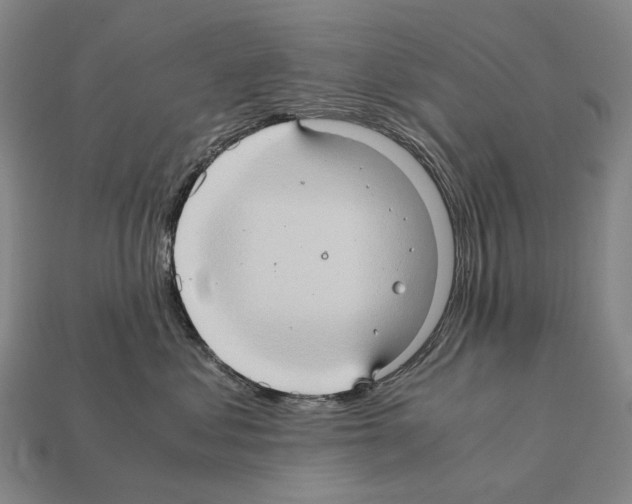 X0000111900621200909071137