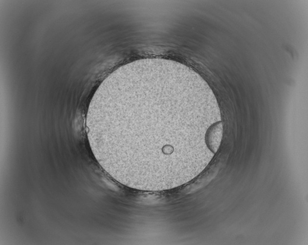 X0000111900624200909071137