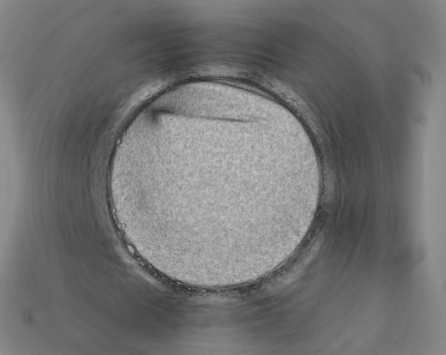 X0000111900625200909071136