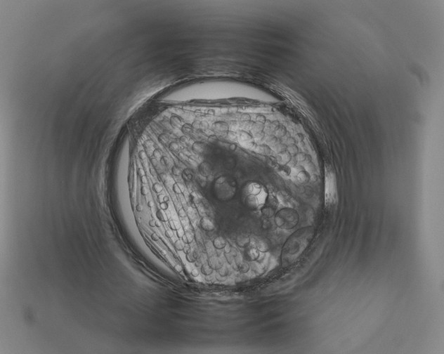 X0000111900627200909071136