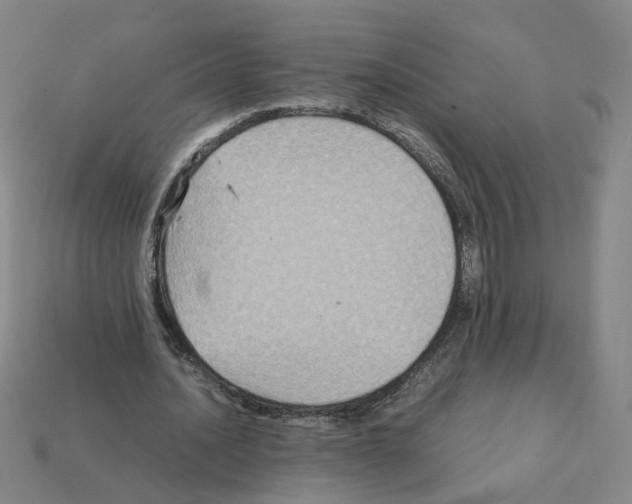 X0000111900628200909071136