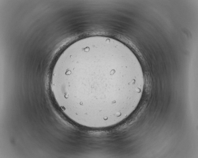 X0000111900629200909071136