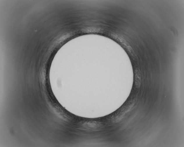 X0000111900631200909071136