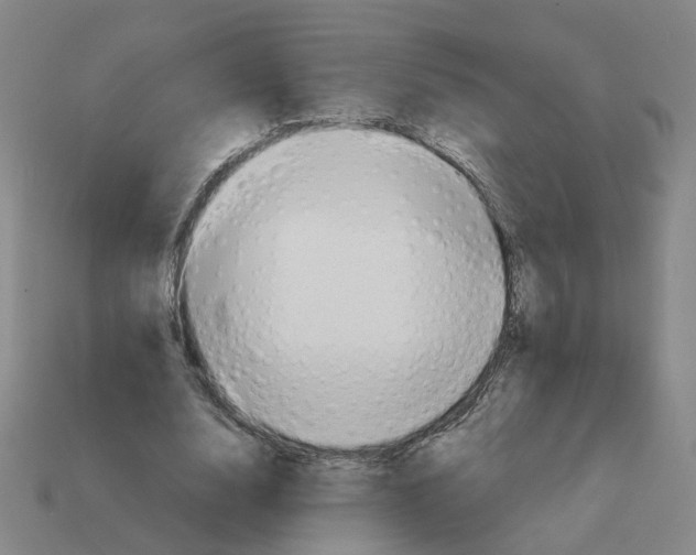 X0000111900632200909071136