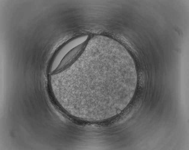 X0000111900634200909071136