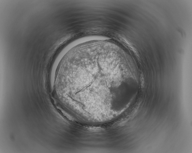 X0000111900637200909071137