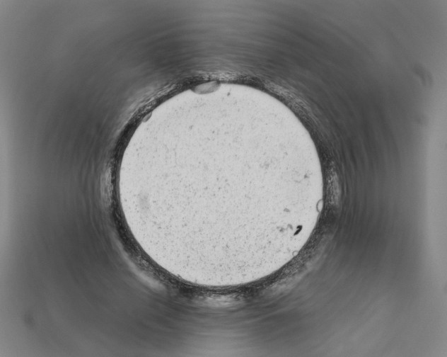 X0000111900638200909071137