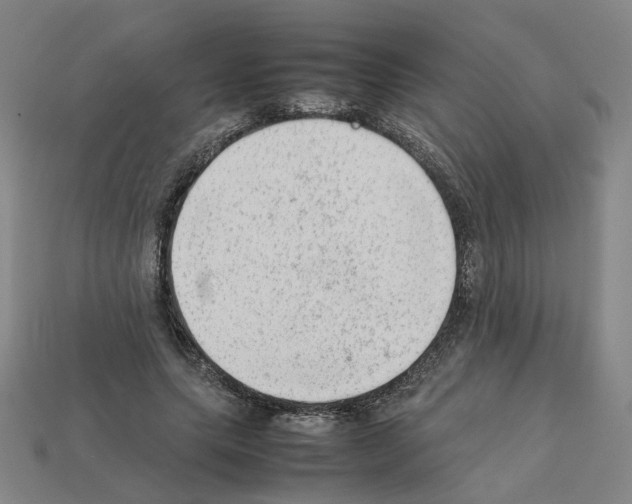 X0000111900639200909071137