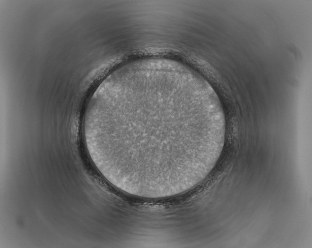 X0000111900640200909071137