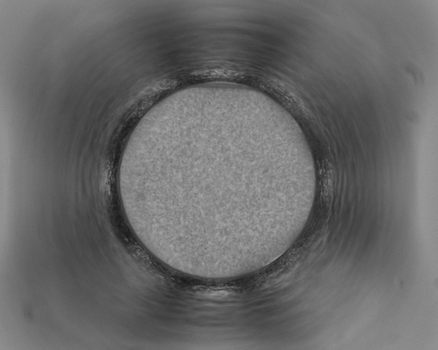 X0000111900643200909071137