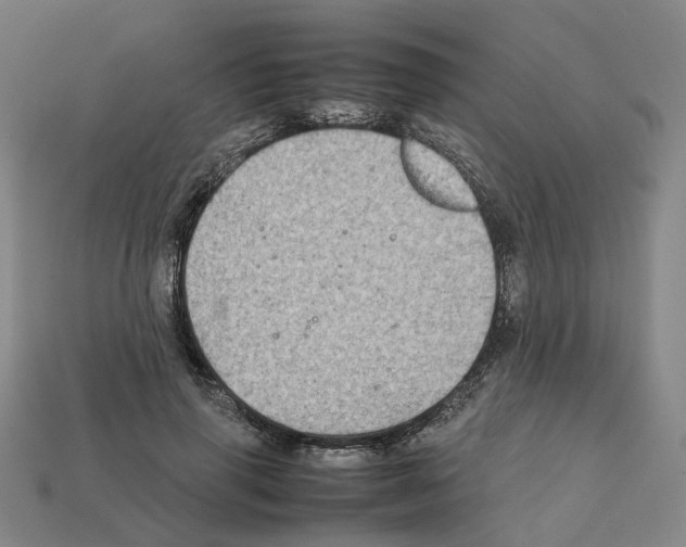 X0000111900645200909071137