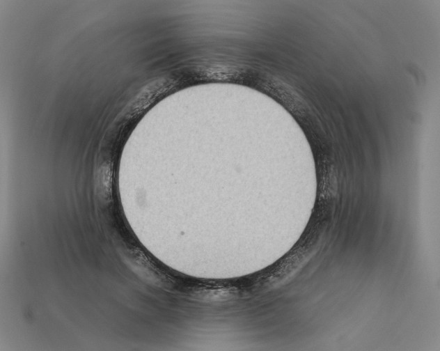 X0000111900646200909071137