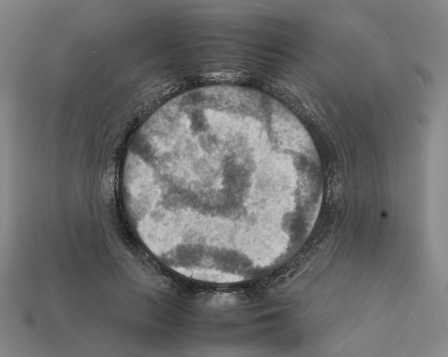 X0000111900647200909071137