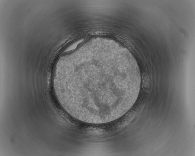 X0000111900648200909071137