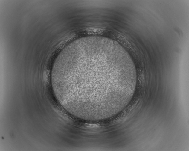 X0000111900649200909071137