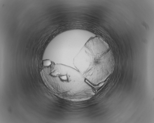 X0000111900653200909071137