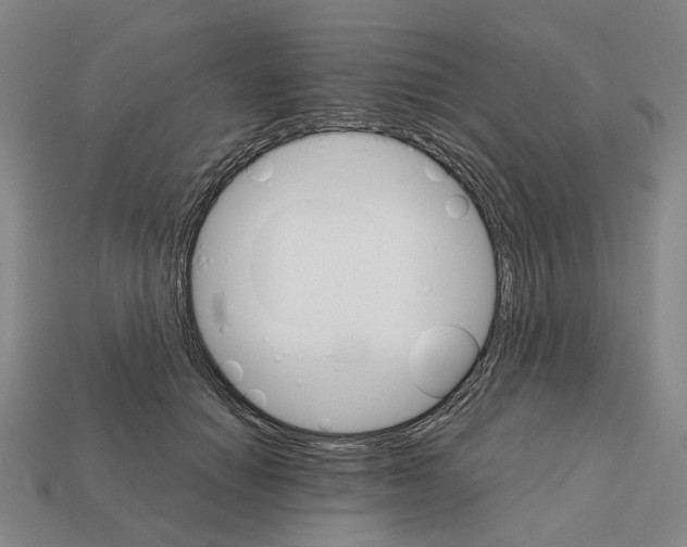 X0000111900654200909071137