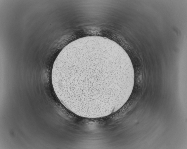 X0000111900658200909071137