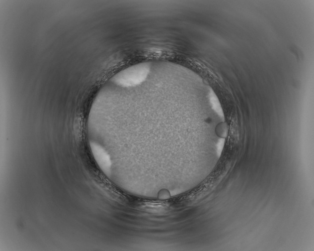 X0000111900659200909071137