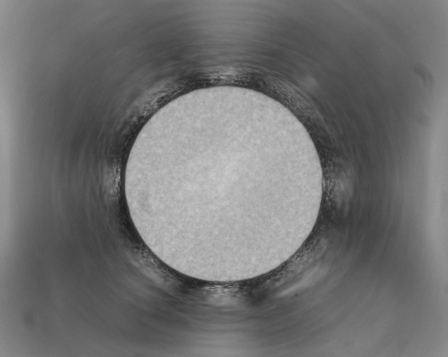 X0000111900660200909071137