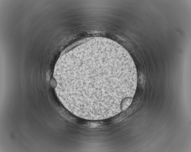 X0000111900662200909071137