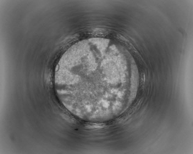 X0000111900663200909071137