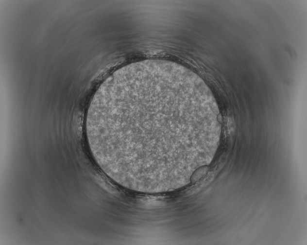 X0000111900664200909071137