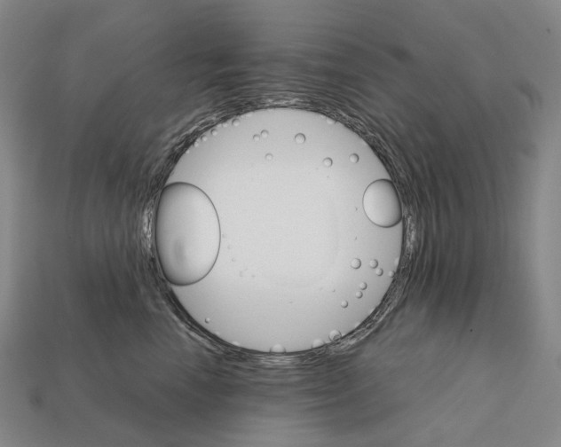 X0000111900666200909071137