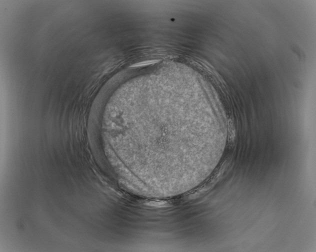 X0000111900669200909071137