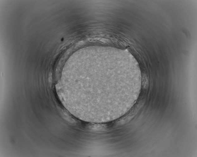 X0000111900670200909071137