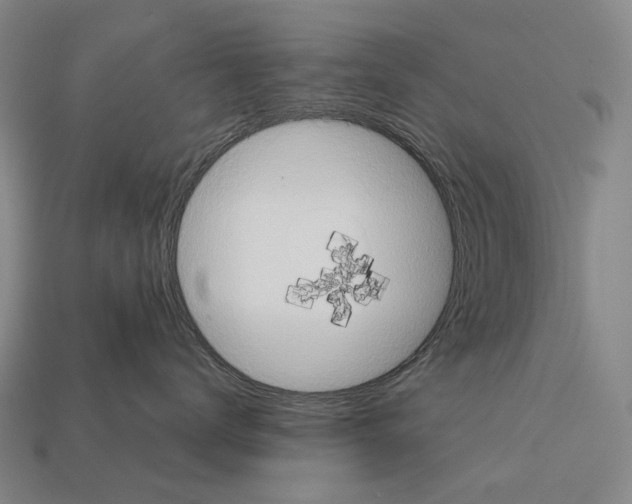 X0000111900672200909071137