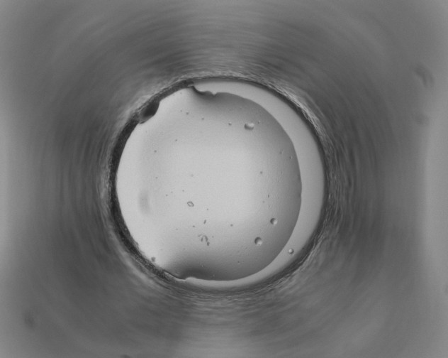 X0000111900677200909071136