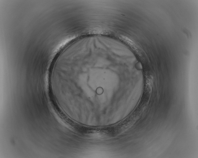 X0000111900678200909071136