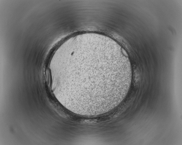 X0000111900680200909071136