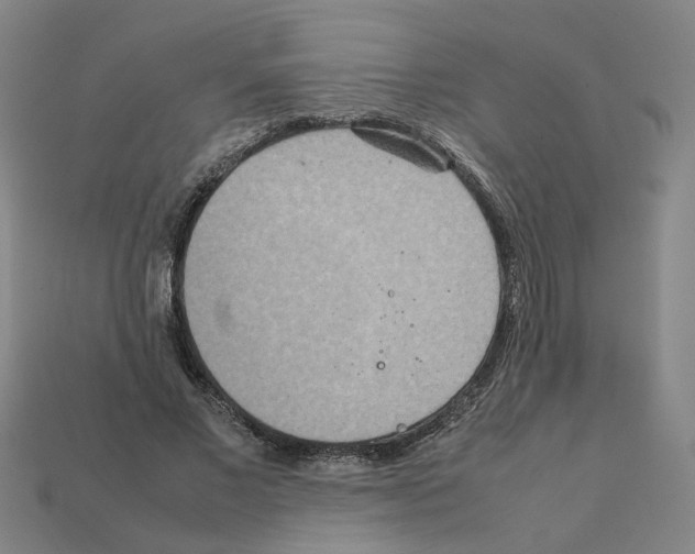 X0000111900685200909071136