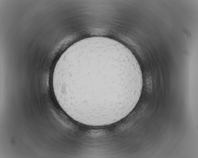 X0000111900686200909071136