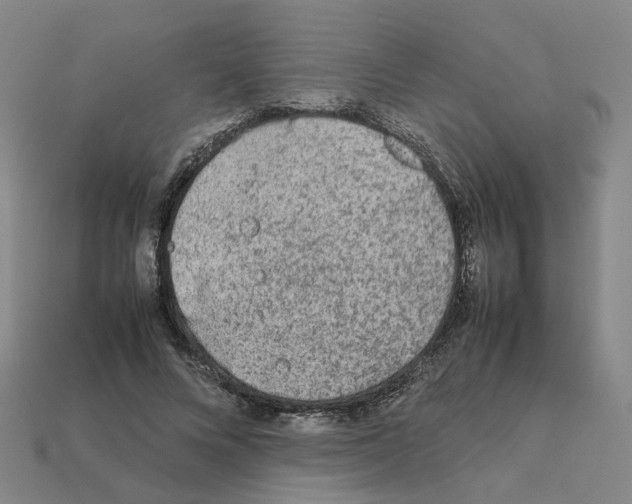 X0000111900688200909071136