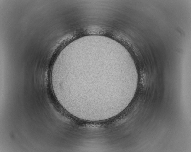 X0000111900690200909071136