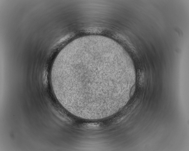 X0000111900692200909071136