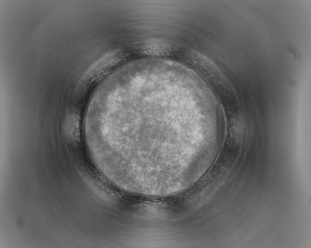 X0000111900696200909071136