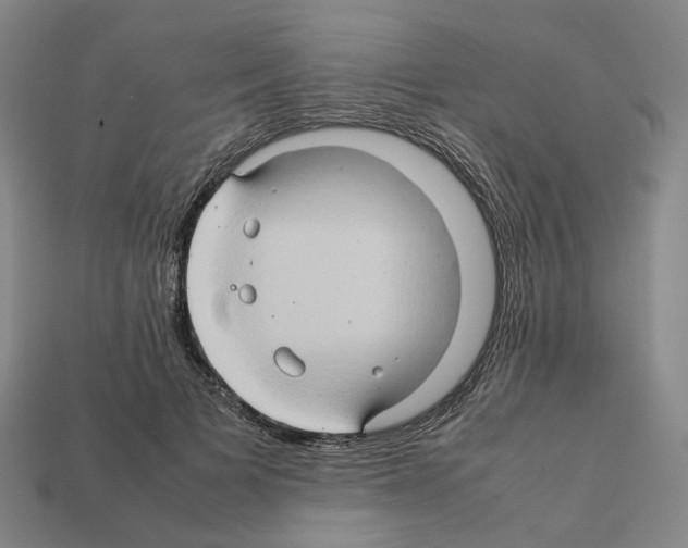 X0000111900697200909071136